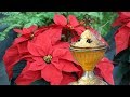 咲くやこの花館のクリスマス2017 の動画、YouTube動画。