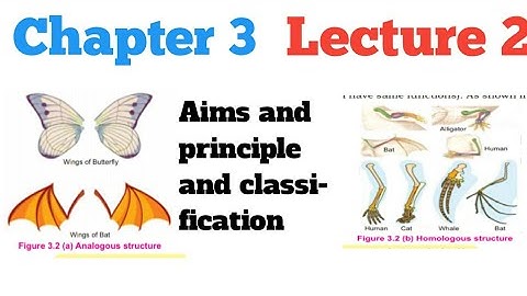 aims and principles of classification class 9 chapter 3 | in urdu |
