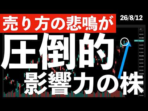 【売り方の悲鳴が】圧倒的影響力を持つあの株の需給が！　#米国株 #日経平均 #sp500 #soxl #nvda