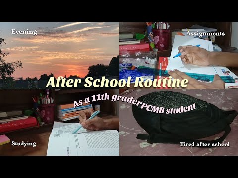 After school routine📚🌻|PCMB 11th grader|Unboxing|Evening vlog|Adith Nath
