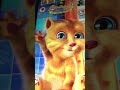 Ginger Says Mama papa #cutecat #shorts #catvideo