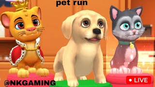 Pet Run Game | Dog 🐕 Run Game | Pet Run iOS/Android Gameplay screenshot 1