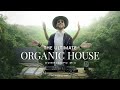  the ultimate organic house downtempo mix  029  cafe de anatolia style