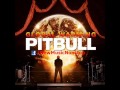 Pitbull - Global Warming [Album Snippets]