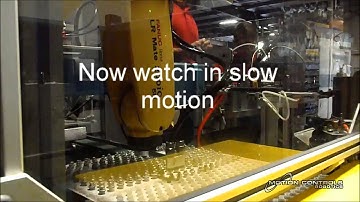 Sorting Screws with a FANUC Robot