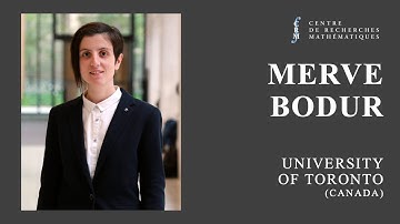 Lagrangian Dual Decision Rules for Multistage Stochastic Mixed Integer Programming