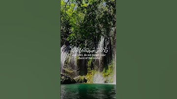 سورة القصص اية ٧٧  الشيخ ياسر الدوسري