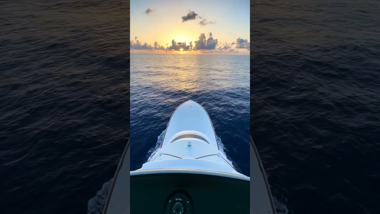 POV: you’re enjoying your coffee and watching the sunrise from the bridge of a Viking 80'!