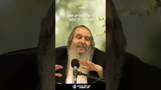 אהבת ישראל פותחת שערי רחמים | הרב שלום ארוש
