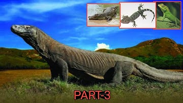 Learn Animals Names with pictures in Malay & Rohingya Language | PART-3 | Rohingya Reality TV