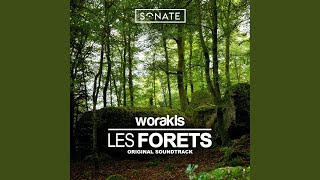 Déforestation, pt. 2