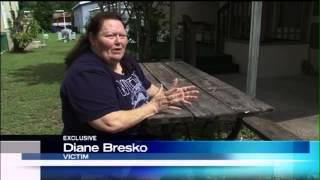 Kids Suspected In NE Travis County Crime Spree