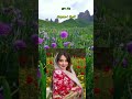 بهارم با تو زیباست
