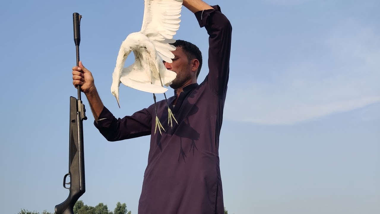 Top 20 Baboons Kill Shot In 2 Minutes || Baboons Hunting Compilation Video hunting with Springer