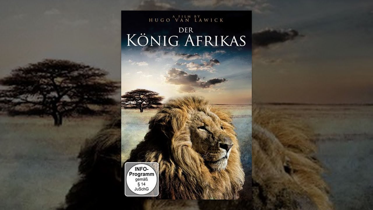 Der König Afrikas - Tiere ganz nah
