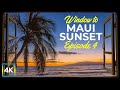 8 HRS Window View to Maui Island, Hawaii - 4K Sunset Beach with Palm Trees + Ocean Waves Sound - #4