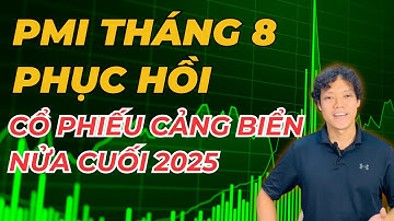 PMI Tháng 8 Tiếp Đà Phục Hồi - Triển Vọng Cổ Phiếu Cảng Biển Nửa Cuối 2025 ?