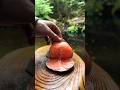 Perfect Whole Salmon Fish Cutting #Shorts