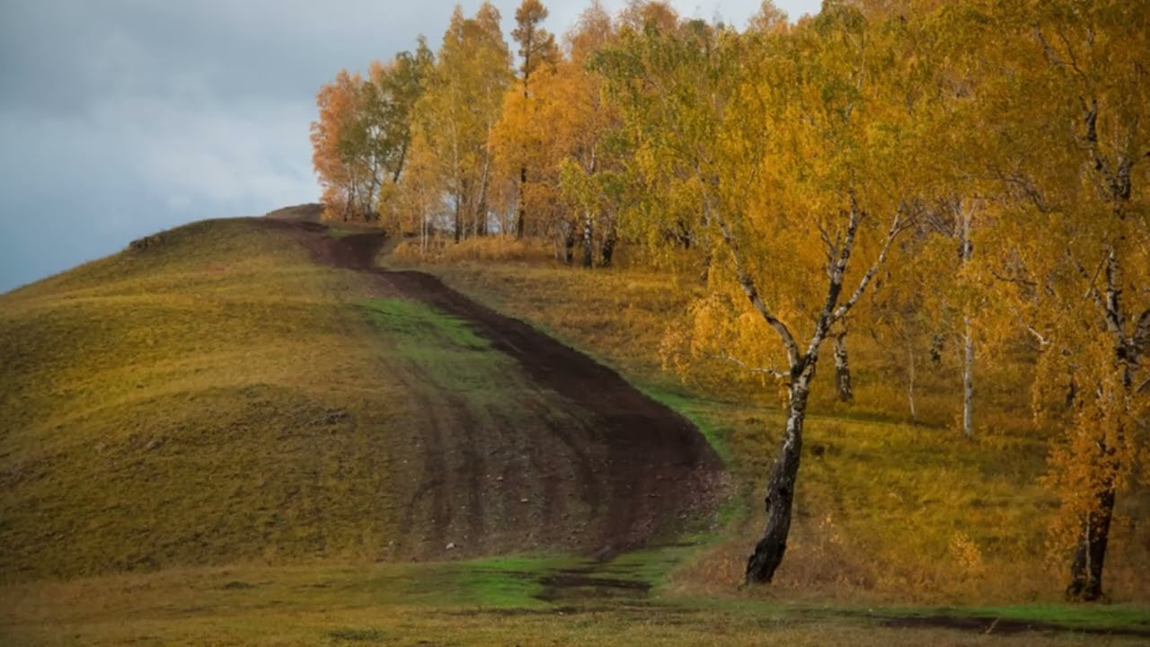 Гора тютчева. Есть в осени первоначальной. Просторы России осенью. Тютчев есть в осени первоначальной. Лучезарны вечера.