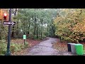 ⁴ᴷ⁶⁰ Long Heavy Rain in Nature | Walking in Central Park | ASMR SLEEP RAIN