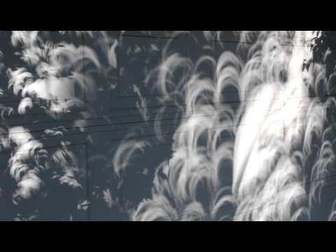 Weird shadows from 5/20/2012 annular solar eclipse (2)