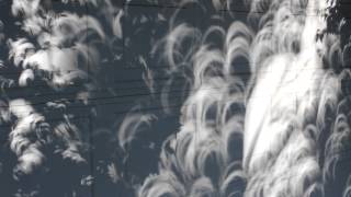 Weird shadows from 5/20/2012 annular solar eclipse (2)