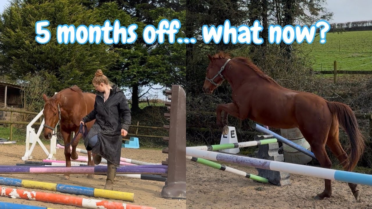 Ep1 ~ From Racehorse to Eventer: First Session Back After 5 Months Off!