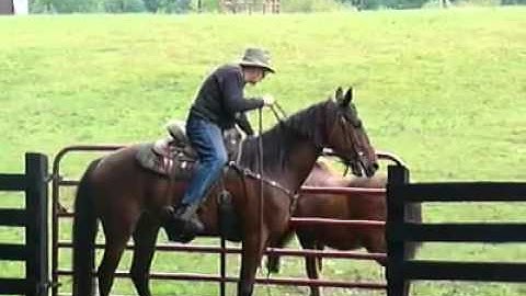 #! video video php v=1657952122399