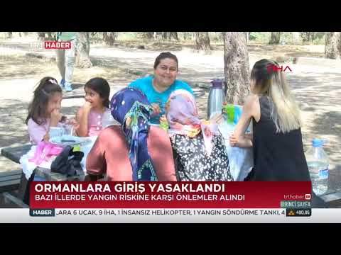 Ormanlara Giriş Yasaklandı