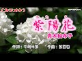 「紫陽花(おたくさ)」真木柚布子/カラオケ