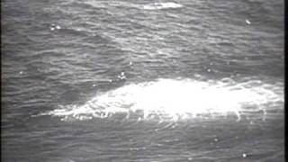 Guided Missile Navy Tests Newest Atomic War Weapon