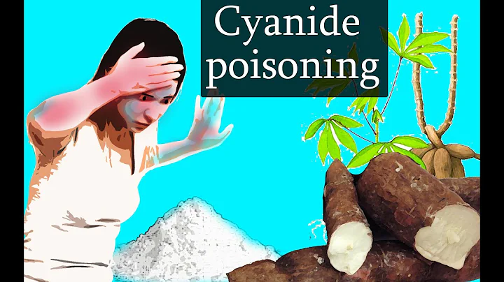Cyanide Poisoning - Animation. cyanide poisoning  mechanism of action