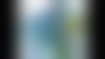 Laparoscopic L Hepatectomy