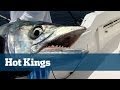 Smoking King Mackerel Fishing - Florida Sport Fishing TV - Skying Action On Kite Baits & Flatlines