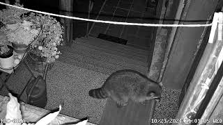 Hof 1 Rlc 81Ma 20241023210057