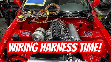 Making A Custom Haltech 2JZ Engine Harness (The Easy Way)