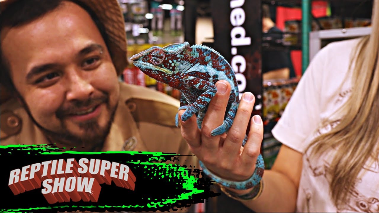 Anaheim Reptile Super Show 2022 YouTube