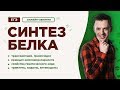 Синтез белка | ЕГЭ Биология | Даниил Дарвин