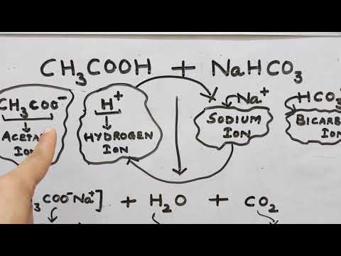 Part 1:  Molecular Equation for the reaction of Vinegar with Baking Soda