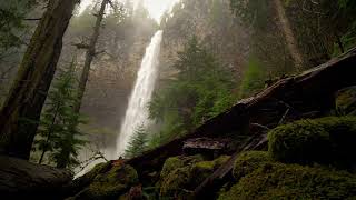 8 Hours Relaxing Waterfall in Forest and Nature Sounds 4K - ASMR, Deep Sleep, Relax | Great Escapes