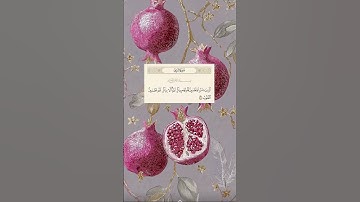 #اكتب_شي_تؤجر_عليه #القرآن_الكريم #راحة_نفسية #اللهم_صل_وسلم_على_نبينا_محمد #المصحف #تلاوة_خاشعة