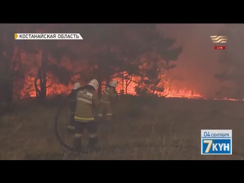 Пожарные пытаются справиться