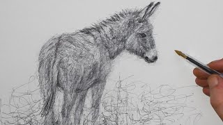 how to draw a donkey with a biro pen