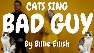 Cats Sing Bad Guy by Billie Eilish | Cats Singing Song