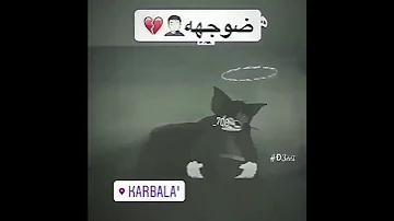 كالو حبيب الروح مل منك وراح كتلهم الله وياه بس كونه مرتاح 