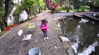 Trout Farm Tenkara