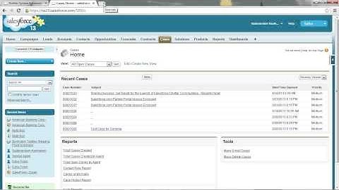 Salesforce.com CRM Administration ADM 201 (ADM201) Training - Part 3