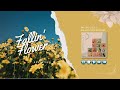 Seventeen  playlist  japanese songs  softchillhype 