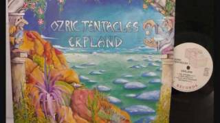 Video voorbeeld van "Ozric tentacles - Erpland.wmv"