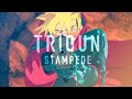 TRIGUN STAMPEDE OPENING [FULL] [ENG SUB] | TOMBI by Kvi Baba | AMV